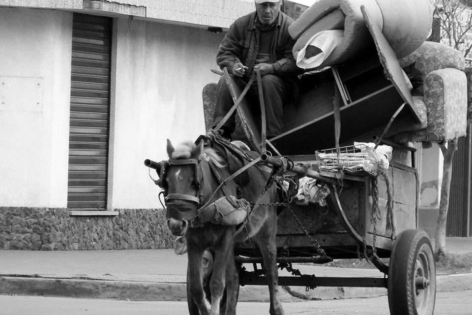 Actividades Rurbanas